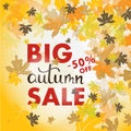 Sales banner with multicolor autumn leaves. Vector