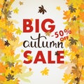 Sales banner with multicolor autumn leaves. Vector