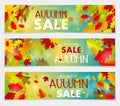 Sales banner with multicolor autumn leaves. Vector