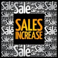 Sales Increase word cloud collage