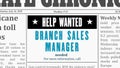 Sales manager career