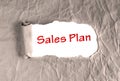 Sales Plan on torn brown grunge paper