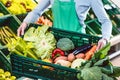 Saleslady holding box with organic vegetables in shop