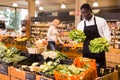 Salesman putting vegetables on store showcase