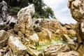 Saliara Beach called Marble Beach, beautiful white beach in Thassos island, Greece. Water and rocks Royalty Free Stock Photo