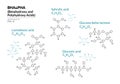 Salicylic, Lactobionic, Gluconic, Glucono d-lactone acids. BHA, PHA Betahydroxy and Polyhydroxy acids. Structural chemical formula Royalty Free Stock Photo