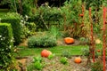 Salignac Eyvigues France - october 7 2023 : the Eyrignac manor gardens