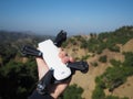 A hand holding a DJI spark drone