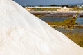 Salinas de Aveiro, salt pans of Aveiro