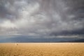 Salinas Grandes Argentina Royalty Free Stock Photo