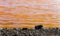 Salinas Marinas de Fuencaliente, Island La Palma, Canary Islands, Spain, Europe Royalty Free Stock Photo