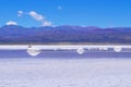 Salinas Salitral Grandes, great salt lake desert, near Susques, Jujuy Province, Argentina Royalty Free Stock Photo