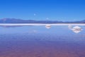 Salinas Salitral Grandes, great salt lake desert, near Susques, Jujuy Province, Argentina Royalty Free Stock Photo