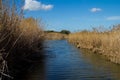 Saline channels