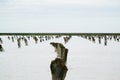 Saline,salt lake Baskunchak. Astrakhan region. Russian landscape Royalty Free Stock Photo