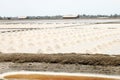 Saline, Salt mining , Naklua in Samutsakorn Thailand Royalty Free Stock Photo