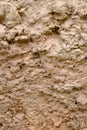 Saline soil surface