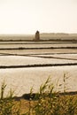 Saline of the Stagnone Reserve, Province of Trapani, Sicily