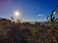 View from the reeds, beach of the salt pans of Albinia.. Royalty Free Stock Photo