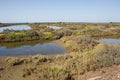 Salines for salt production in the Odiel Marches