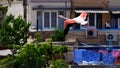 SALINI, MALTA - Jun 13, 2016: Adult Greater Flamingo in pink plumage in flight in front of pink and blue laundry in Malta Royalty Free Stock Photo