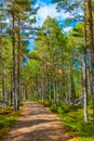 Salis Battery Hill at Aland islands in Finland