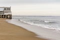 Dog watches the ocean waves at Salisbury Beach, Massachusetts Royalty Free Stock Photo