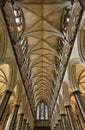 Salisbury cathedral ceiling