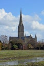 Salisbury Cathedral and Flooded Water Meadows Royalty Free Stock Photo