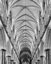 Salisbury Cathedral Nave Ceiling