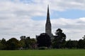 Salisbury Cathedral from Water Meadows, Wiltshire, England Royalty Free Stock Photo
