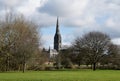 Salisbury Cathedral from Water Meadows, Wiltshire, England Royalty Free Stock Photo