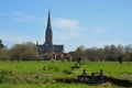 Salisbury Cathedral from Water Meadows, Wiltshire, England Royalty Free Stock Photo
