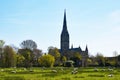 Salisbury Cathedral from Water Meadows, Wiltshire, UK Royalty Free Stock Photo