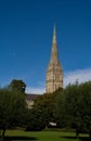 Salisbury cathedral salisbury wiltshire uk Royalty Free Stock Photo