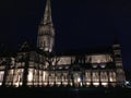Salisbury cathedral Royalty Free Stock Photo