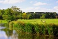 Salisbury Water Meadows and River Avon near Cathedral, Wiltshire, England Royalty Free Stock Photo
