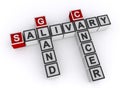 Salivary gland cancer word block on white