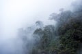 Salkantay Trekking Peru Royalty Free Stock Photo