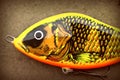 Salmo Slider fishing lure plug for pike and muskie Royalty Free Stock Photo