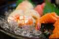 Salmom sashimi Royalty Free Stock Photo