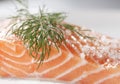 Salmon Royalty Free Stock Photo