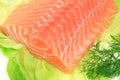 Salmon