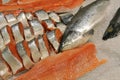 Salmon Royalty Free Stock Photo