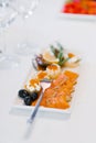 Salmon with appetizers on a white plate and a fork Royalty Free Stock Photo