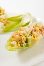 Salmon and avocado salad in chicory leaves Royalty Free Stock Photo