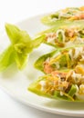 Salmon and avocado salad in chicory leaves Royalty Free Stock Photo