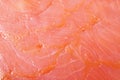 Salmon background Royalty Free Stock Photo