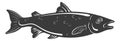 Salmon black logo. River fish icon. Underwater animal