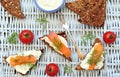 Salmon bruschetta on a picnic Royalty Free Stock Photo